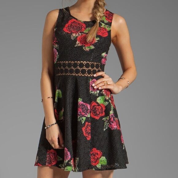 Free people rose lace dress - Picture 1 of 8